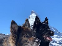 Shani und Gitan